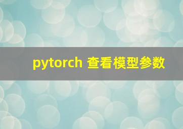 pytorch 查看模型参数